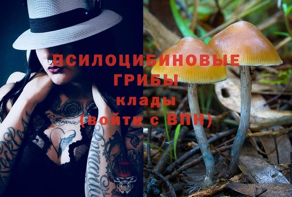 spice Остров