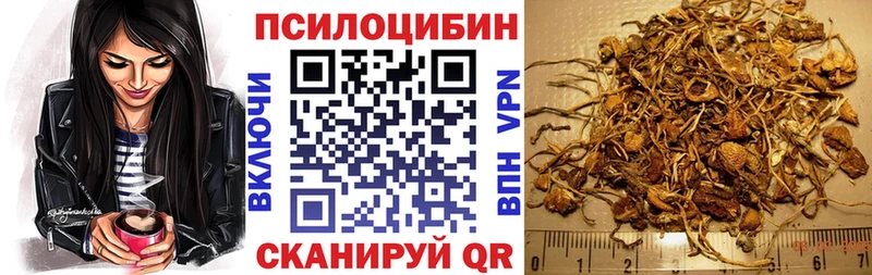 сколько стоит  Чусовой  Галлюциногенные грибы Psilocybe 